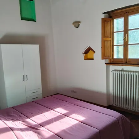 Apartment Zinfarosa Color *